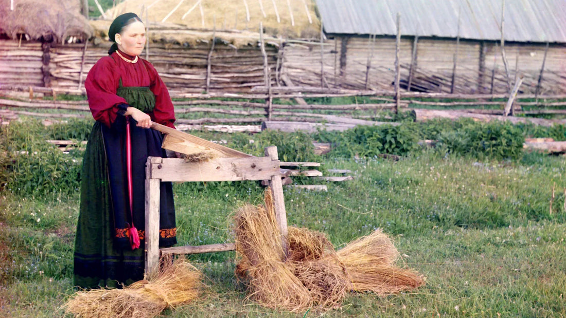a woman breaking flax in russia