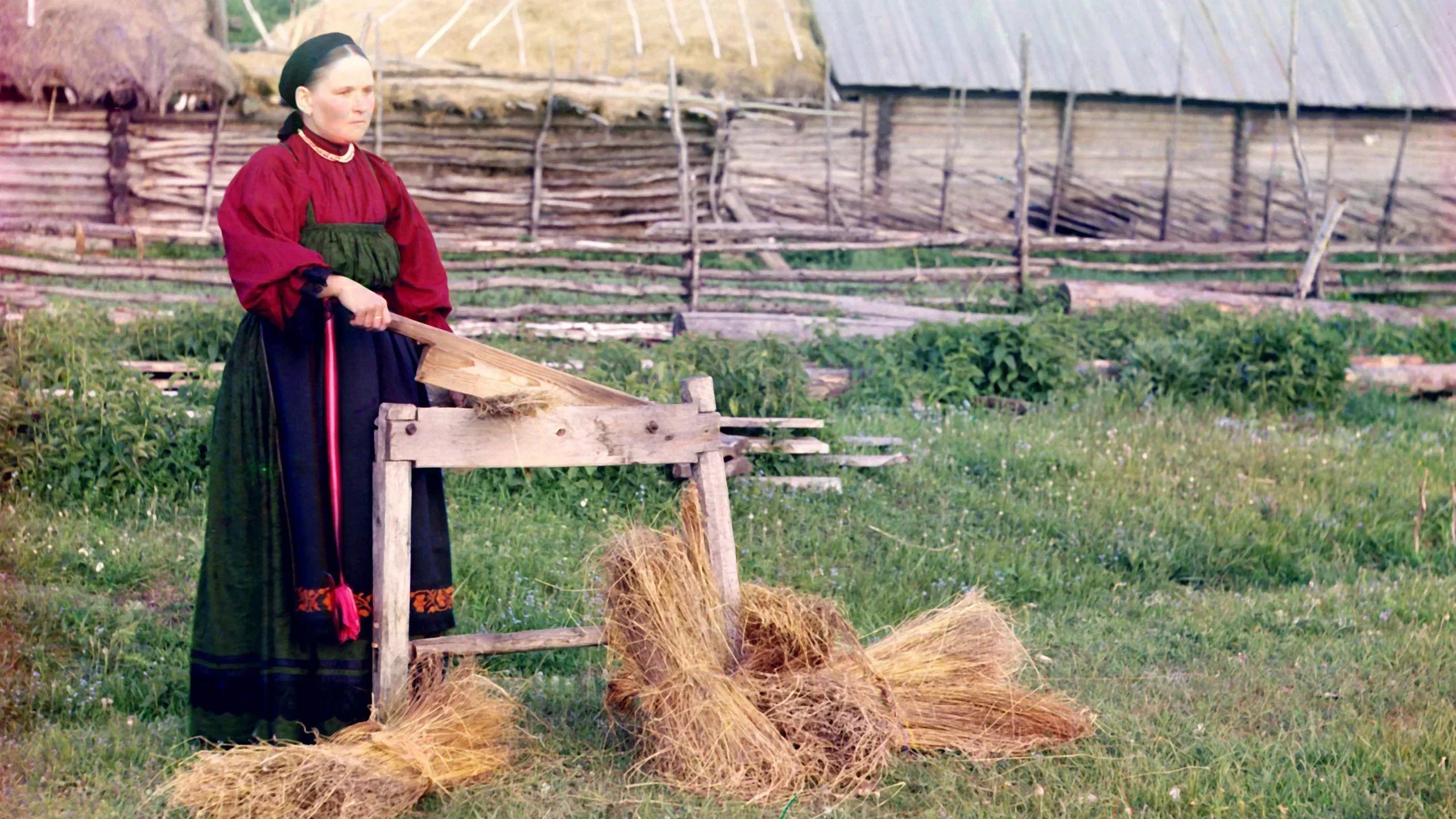 a woman breaking flax in russia