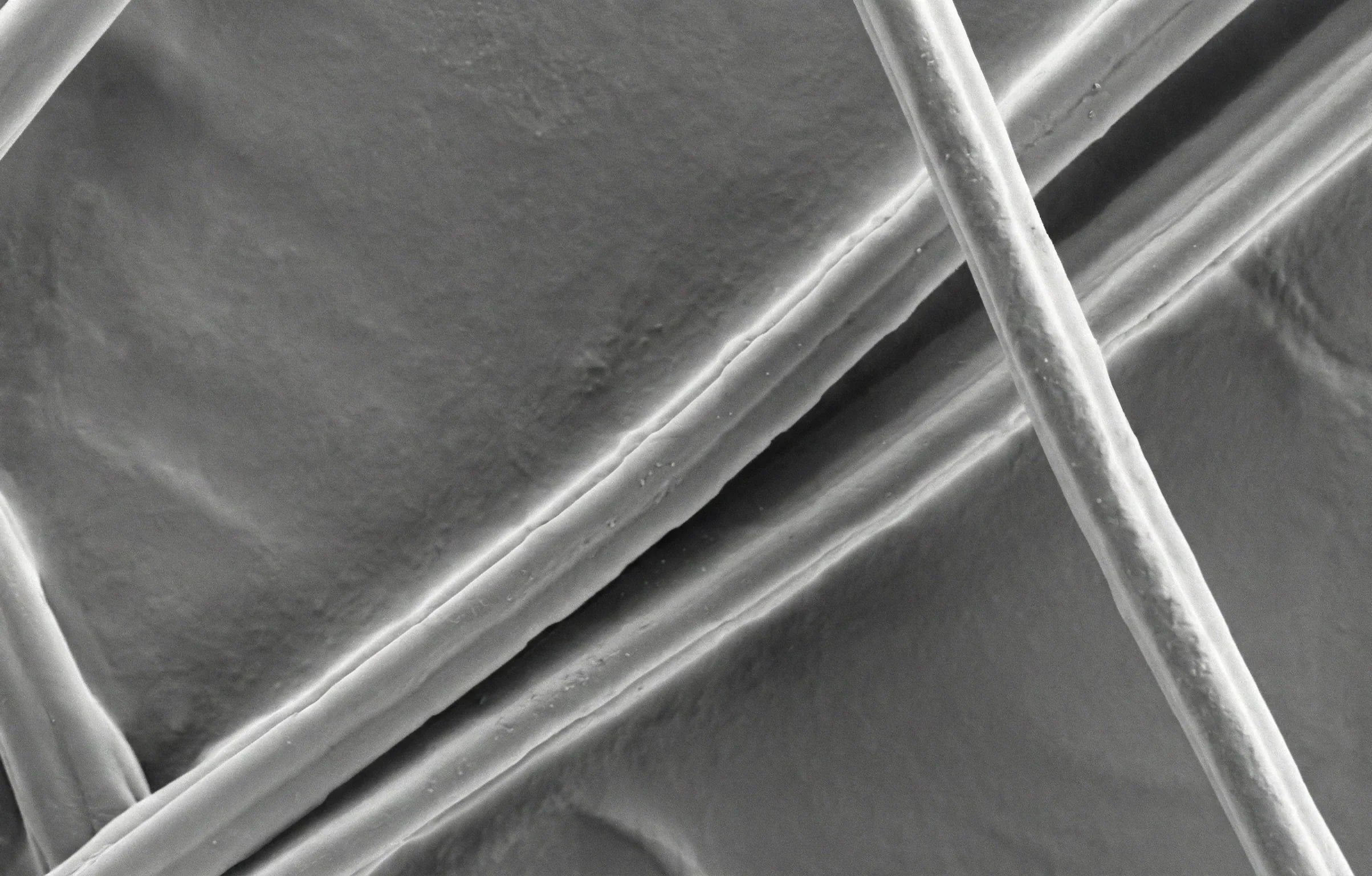 Why Modal Is Not a Natural Fiber