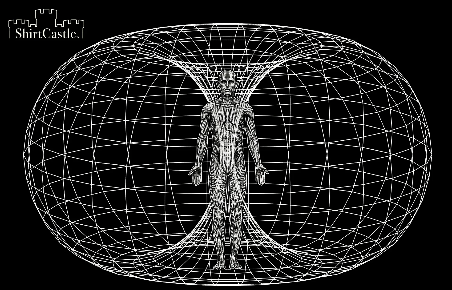A black and white vintage-style drawing diagramming the human toroidal field, a donut-shaped magnetic field generated by the human heart
