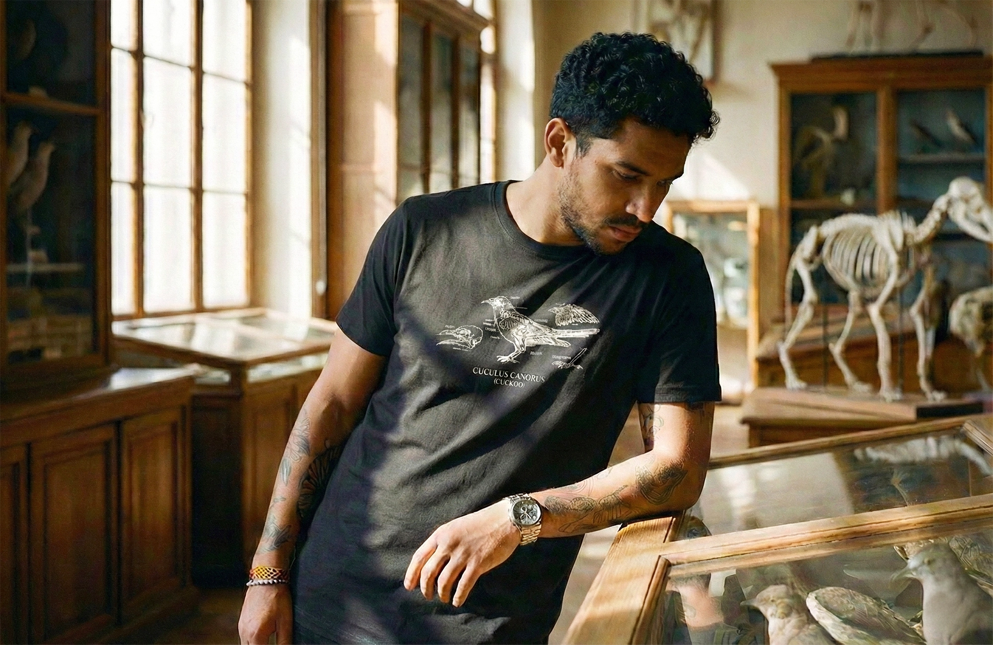 A model wearing a black science t-shirt from ShirtCastle, printed with an antique-style white line drawing showing an anatomical study of the Cuculus Canorus (cuckoo) bird, studies bird specimens in a sunlit room of a museum with animal skeletons and wooden display cabinets. Sunlight streaming from the window spotlights his T-shirt design. 