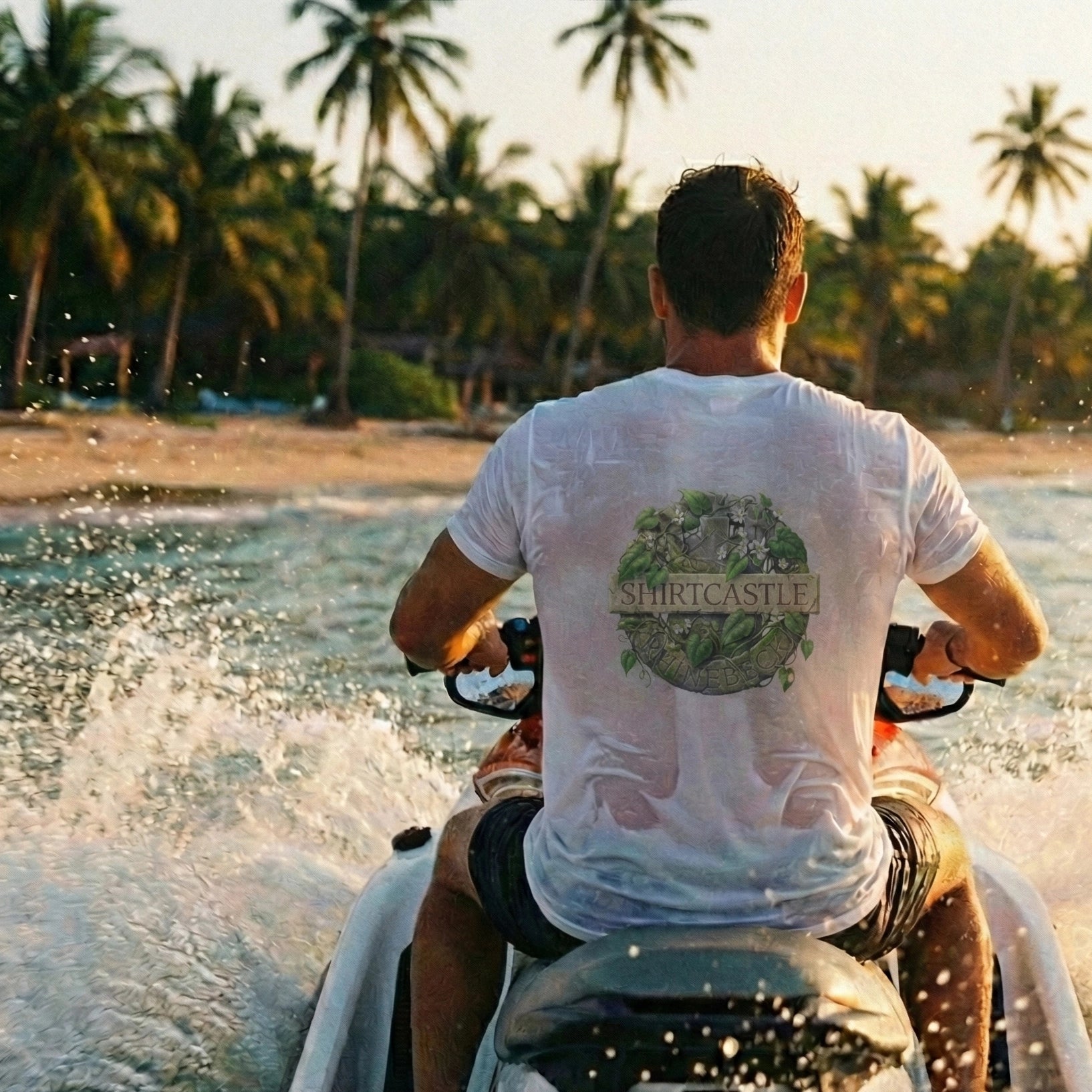 Person riding a jet ski on a beach with palm trees in the background