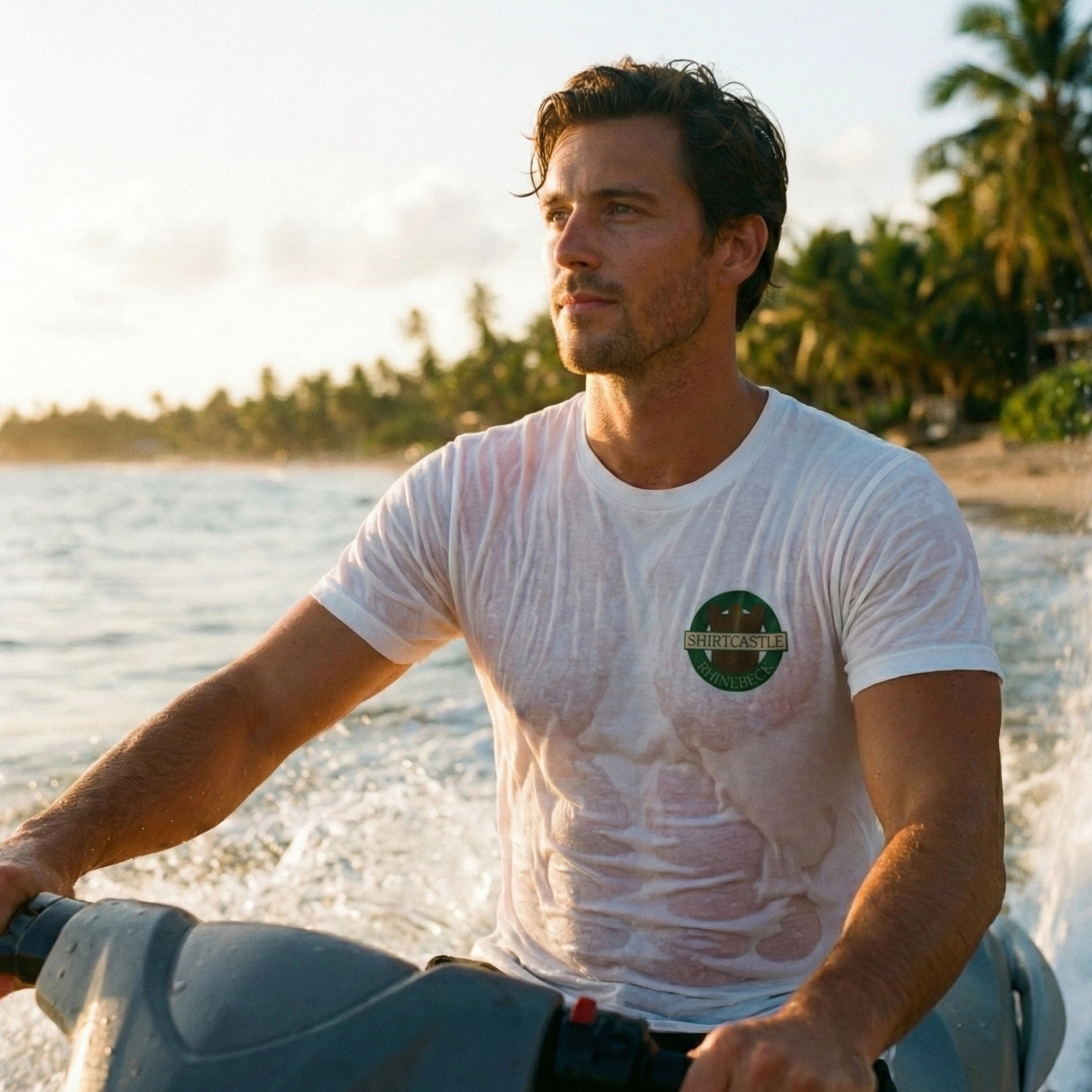 Man riding a jet ski on a beach with palm trees in the background